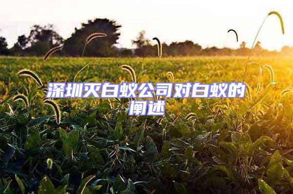 深圳滅白蟻公司對(duì)白蟻的闡述