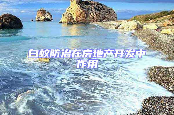 白蟻防治在房地產(chǎn)開發(fā)中作用
