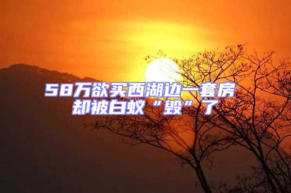 58萬(wàn)欲買(mǎi)西湖邊一套房 卻被白蟻“毀”了
