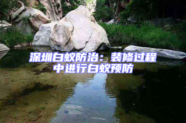 深圳白蟻防治:裝修過程中進(jìn)行白蟻預(yù)防