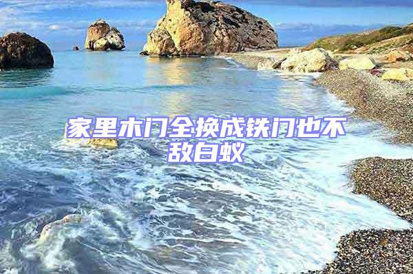 家里木門(mén)全換成鐵門(mén)也不敵白蟻