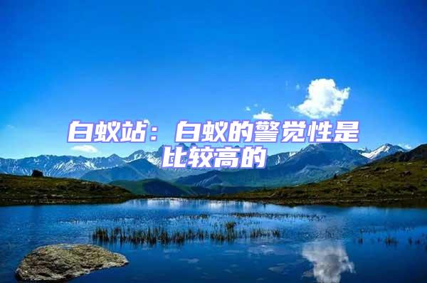 白蟻站:白蟻的警覺性是比較高的