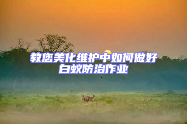 教您美化維護(hù)中如何做好白蟻防治作業(yè)