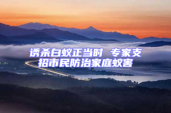 誘殺白蟻正當(dāng)時 專家支招市民防治家庭蟻害