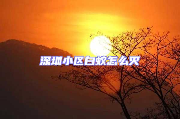 深圳小區(qū)白蟻怎么滅