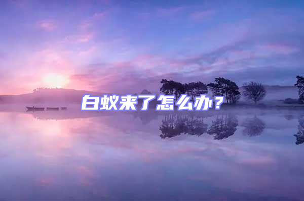 白蟻來了怎么辦?