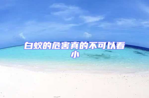 白蟻的危害真的不可以看小
