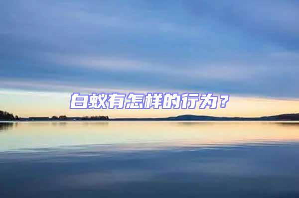 白蟻有怎樣的行為？