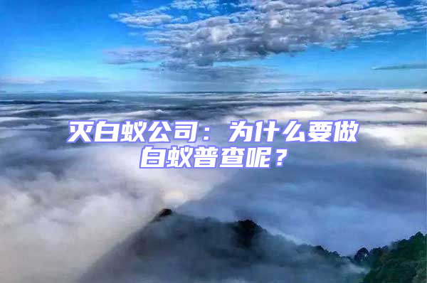 滅白蟻公司：為什么要做白蟻普查呢？