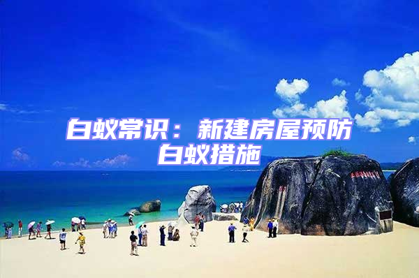 白蟻常識(shí)：新建房屋預(yù)防白蟻措施