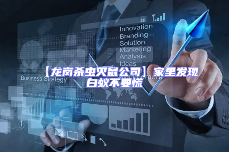 【龍崗殺蟲滅鼠公司】家里發(fā)現(xiàn)白蟻不要慌