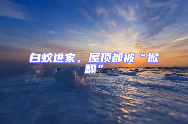 白蟻進(jìn)家,屋頂都被“掀翻”