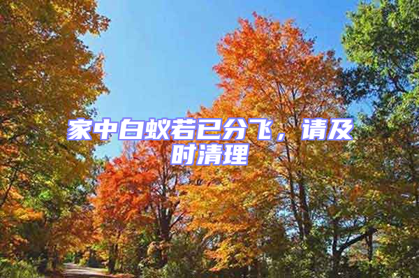 家中白蟻若已分飛，請(qǐng)及時(shí)清理