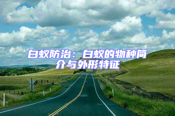 白蟻防治：白蟻的物種簡(jiǎn)介與外形特征