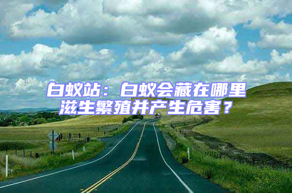 白蟻站：白蟻會(huì)藏在哪里滋生繁殖并產(chǎn)生危害？