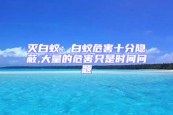 滅白蟻:白蟻危害十分隱蔽,大量的危害只是時(shí)間問題