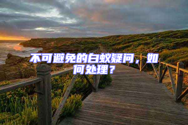 不可避免的白蟻疑問，如何處理？