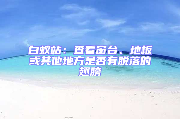白蟻站:查看窗臺(tái)、地板或其他地方是否有脫落的翅膀