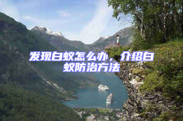 發(fā)現(xiàn)白蟻怎么辦，介紹白蟻防治方法