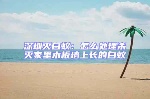 深圳滅白蟻：怎么處理殺滅家里木板墻上長(zhǎng)的白蟻