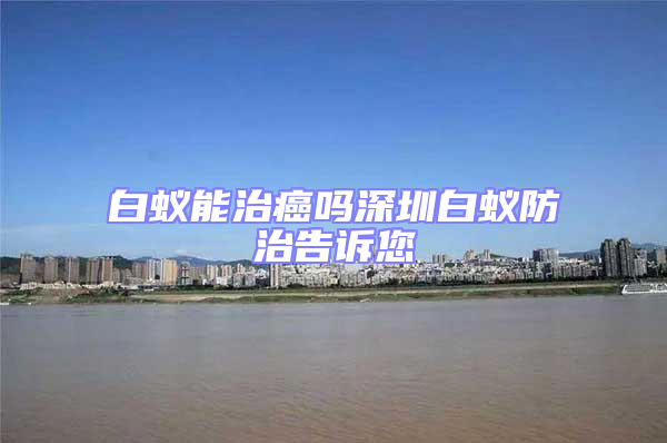 白蟻能治癌嗎深圳白蟻防治告訴您