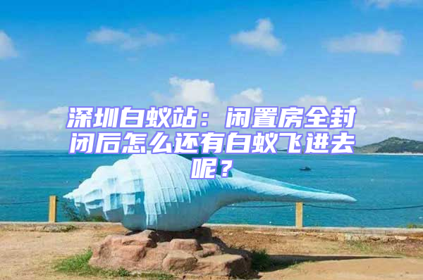 深圳白蟻站:閑置房全封閉后怎么還有白蟻飛進去呢?