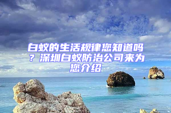 白蟻的生活規(guī)律您知道嗎？深圳白蟻防治公司來為您介紹