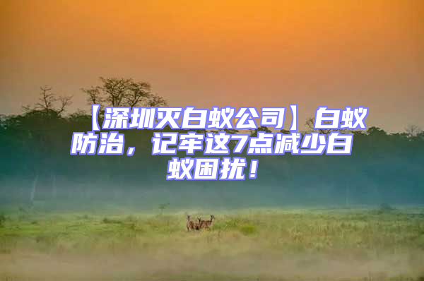 【深圳滅白蟻公司】白蟻防治，記牢這7點減少白蟻困擾！