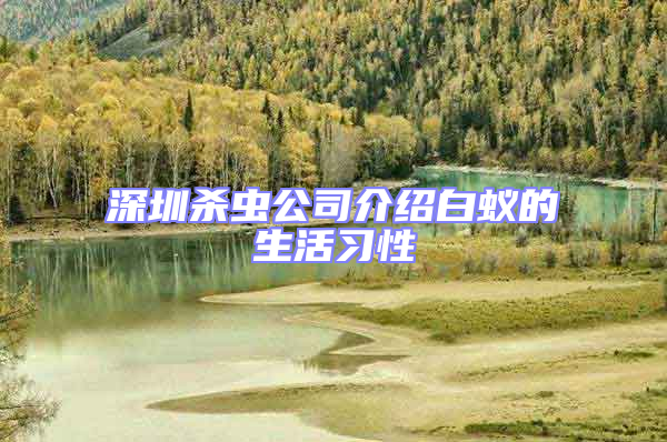 深圳殺蟲(chóng)公司介紹白蟻的生活習(xí)性