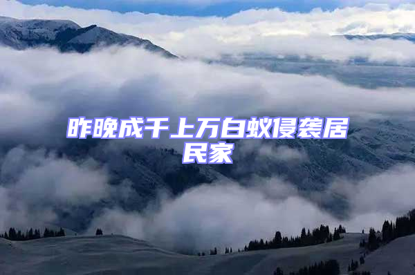 昨晚成千上萬(wàn)白蟻侵襲居民家