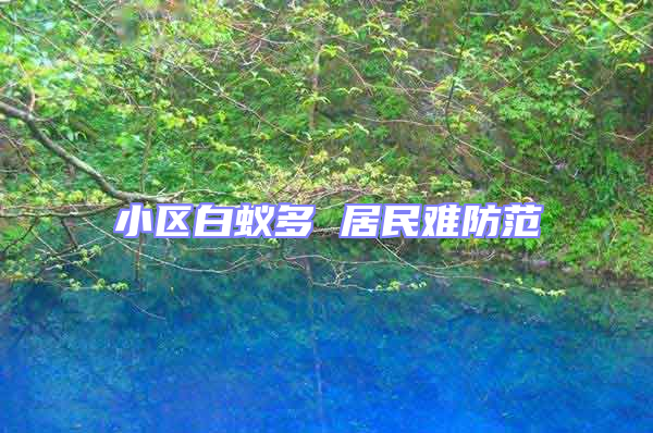 小區(qū)白蟻多 居民難防范