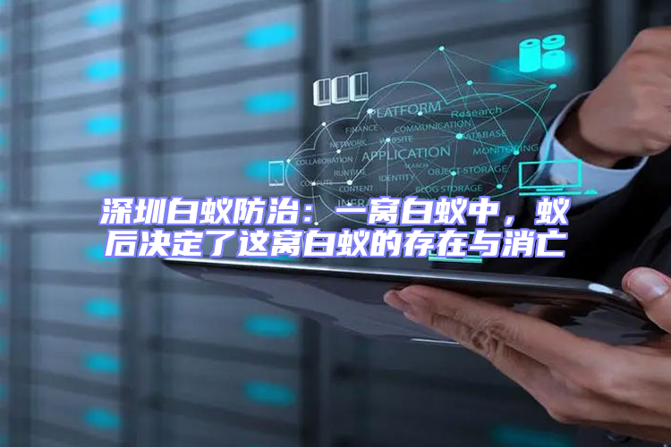 深圳白蟻防治：一窩白蟻中，蟻后決定了這窩白蟻的存在與消亡