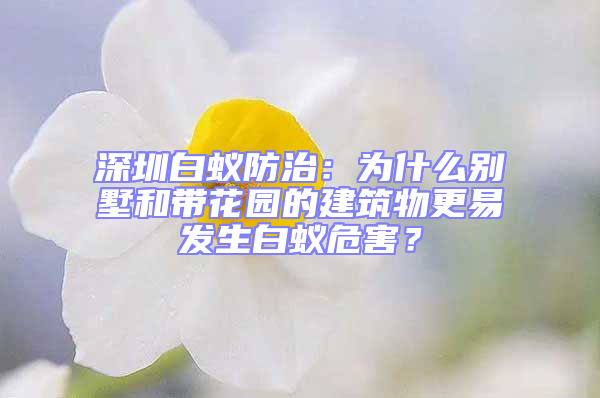 深圳白蟻防治：為什么別墅和帶花園的建筑物更易發(fā)生白蟻危害？
