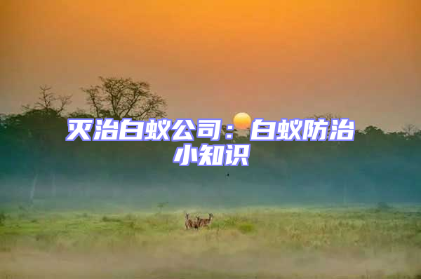 滅治白蟻公司:白蟻防治小知識(shí)