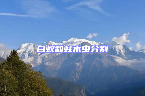 白蟻和蛀木蟲(chóng)分別