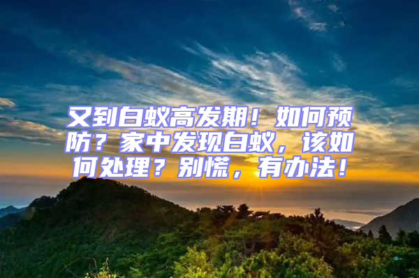 又到白蟻高發(fā)期！如何預(yù)防？家中發(fā)現(xiàn)白蟻，該如何處理？別慌，有辦法！