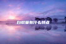 白蟻巢有什么特點(diǎn)