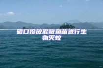 磴口投放泥鰍魚苗進(jìn)行生物滅蚊