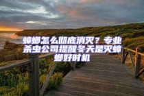 蟑螂怎么徹底消滅？專業(yè)殺蟲公司提醒冬天是滅蟑螂好時機(jī)