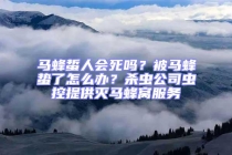 馬蜂蜇人會(huì)死嗎？被馬蜂蟄了怎么辦？殺蟲(chóng)公司蟲(chóng)控提供滅馬蜂窩服務(wù)