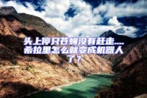 頭上停只蒼蠅沒(méi)有趕走....希拉里怎么就變成機(jī)器人了？