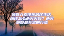 蟑螂入室侵?jǐn)_居民生活，應(yīng)該怎么殺滅滅蟑？殺滅蟑螂最有效的方法