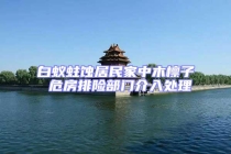 白蟻蛀蝕居民家中木檁子 危房排險(xiǎn)部門(mén)介入處理