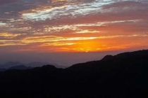 殺蟲(chóng)公司的專業(yè)團(tuán)隊(duì)支持