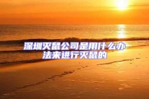 深圳滅鼠公司是用什么辦法來進行滅鼠的