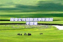 除蟲(chóng)公司給你潔凈環(huán)境超乎想象