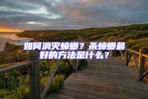 如何消滅蟑螂？殺蟑螂最好的方法是什么？