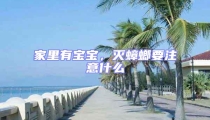 家里有寶寶，滅蟑螂要注意什么