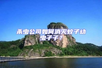 殺蟲公司如何消滅蚊子幼蟲孑孓？