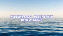 馬陸是什么？該如何快速地消滅馬陸？